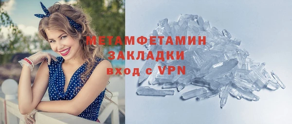 шишки Бородино