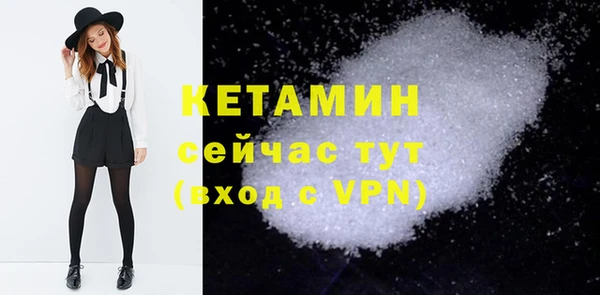 шишки Бородино