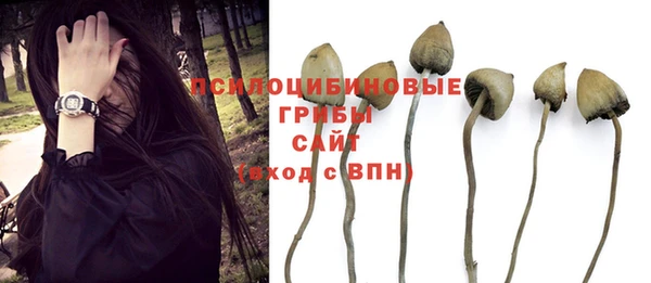 шишки Бородино