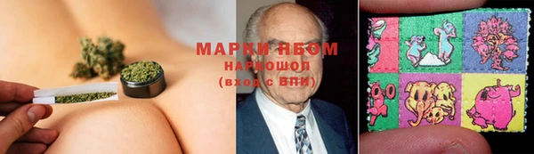 гашик Бронницы
