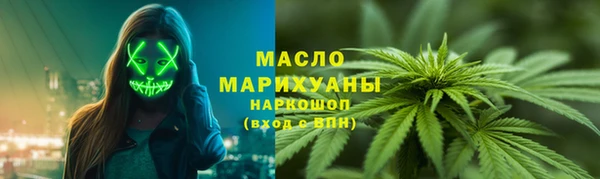 шишки Бородино