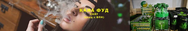 шишки Бородино