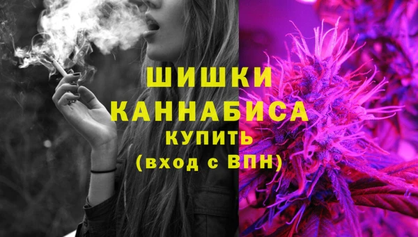 шишки Бородино