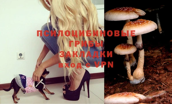 шишки Бородино