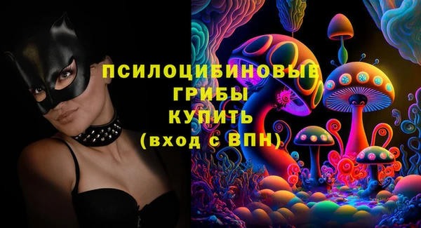 шишки Бородино
