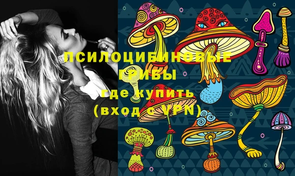 PSILOCYBIN Бугульма
